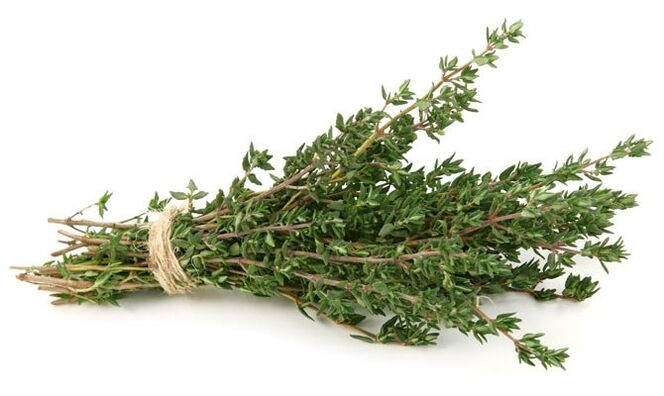 ezkaia zakila handitzeko